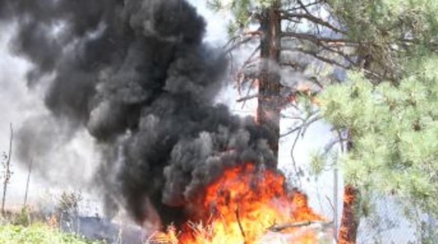 Dinamit Y&uuml;kl&uuml; Kamyon Ormanı Yaktı