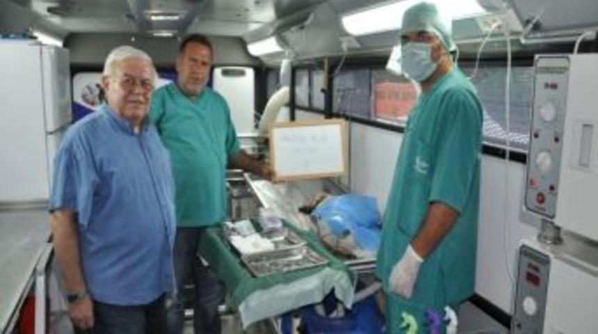 Ak&ccedil;ay&rsquo;da Sokak Hayvanları İ&ccedil;in 'kısırlaştır, Aşılat, Yaşat' Kampanyası Başlatıldı