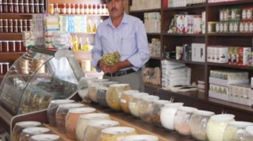 Ramazan Ayında A&ccedil;lık Ve Susuzluğa Karşı &ldquo;&ccedil;&ouml;rek Otu&rdquo;