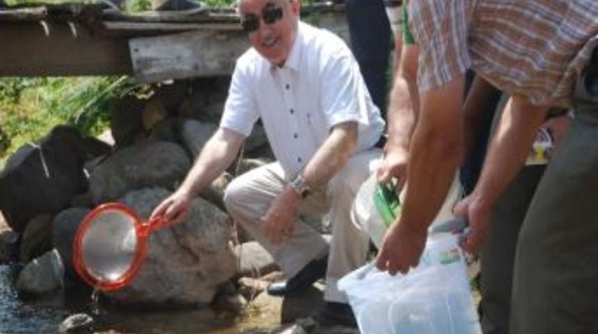 Batlama Vadisi Yeniden Balıklanıyor