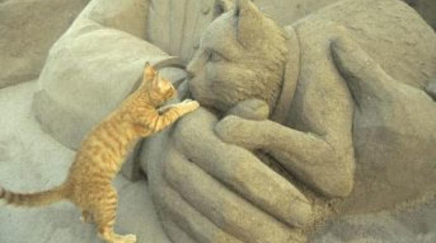 Kum Heykel Festivalinin İlgin&ccedil; Konuğu