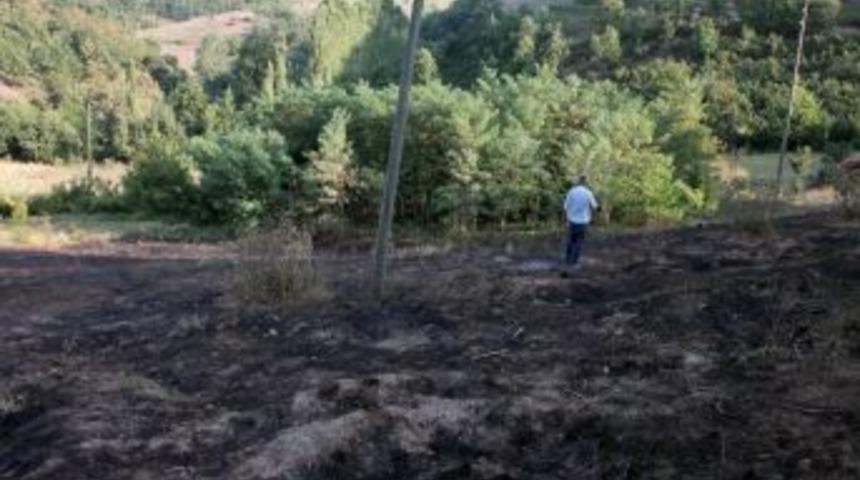 Elektrik Telleri Ağacı Tutuşturdu, 2 D&ouml;n&uuml;ml&uuml;k Alan Yandı