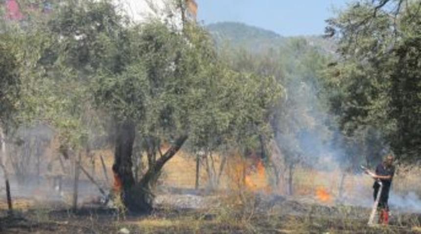 Boş Arsada Yangın &Ccedil;ıktı
