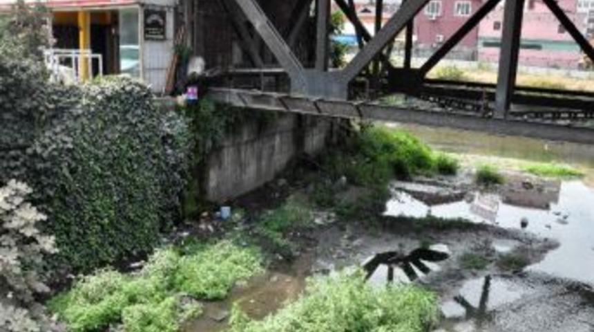 Parklar Temizlenmeyi Bekliyor