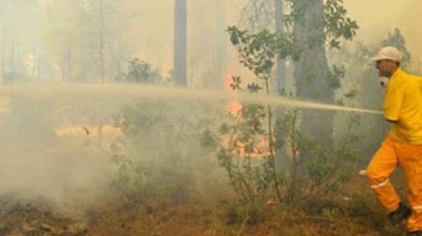 Dinamit kamyonu kaza yaptı, orman yandı