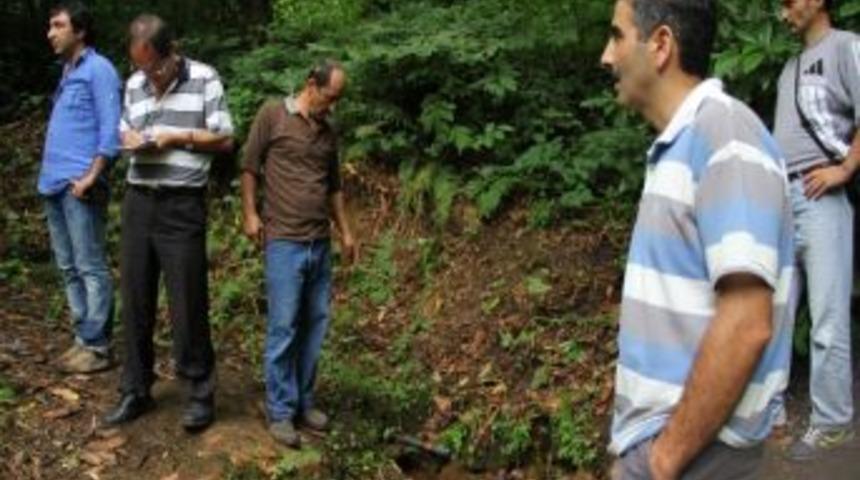 Giresun&rsquo;da Katı Atık Bertaraf Tesisinde İnceleme