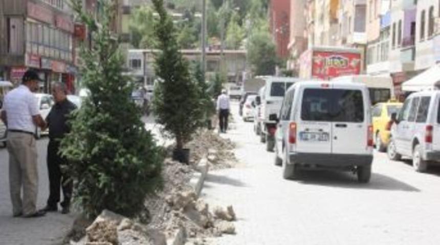 Belediyeden Ağa&ccedil;landırma &Ccedil;alışması