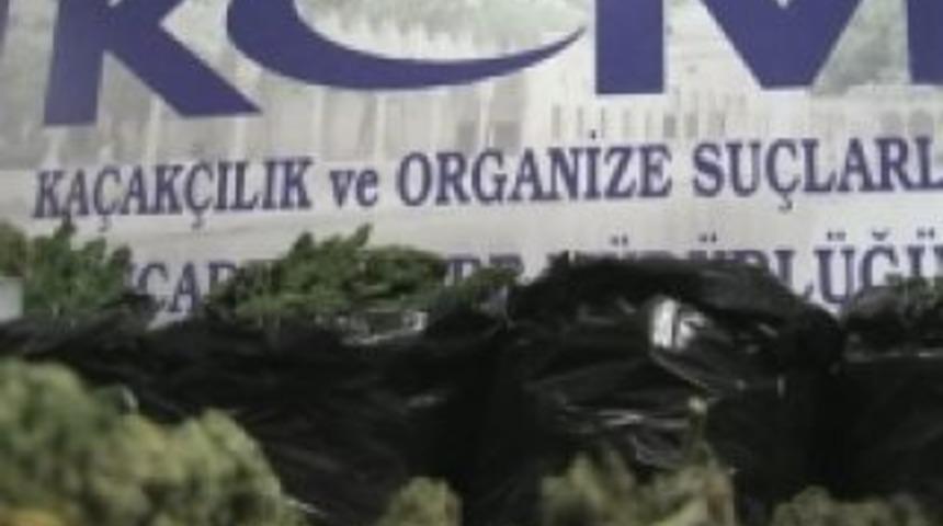 Esrar sevkiyatına 10 g&ouml;zaltı