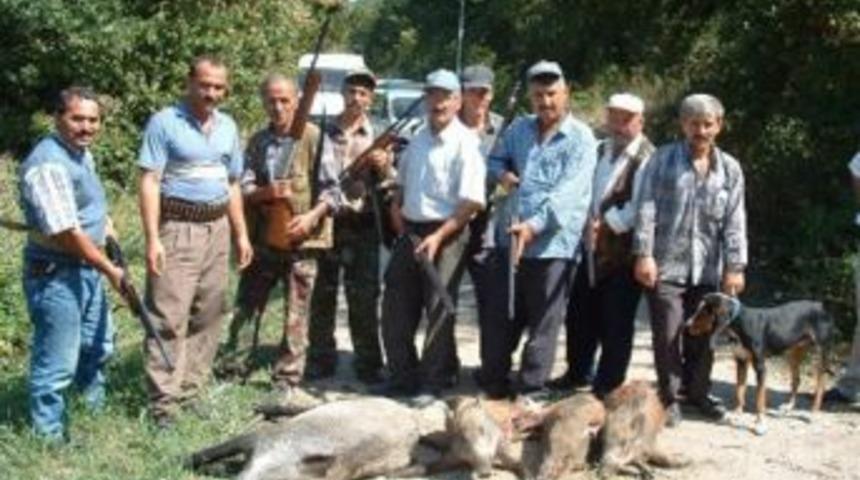 Kavlak Köyü’nde domuz istilası