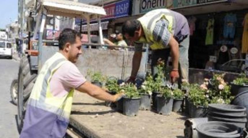 Kuşadası&rsquo;nda Cadde Ve Bulvarlar &Ccedil;i&ccedil;ek Kokuyor