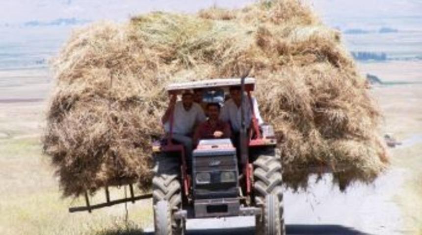 Bitlisli &Uuml;reticiler Mahsulde Zarar Etti