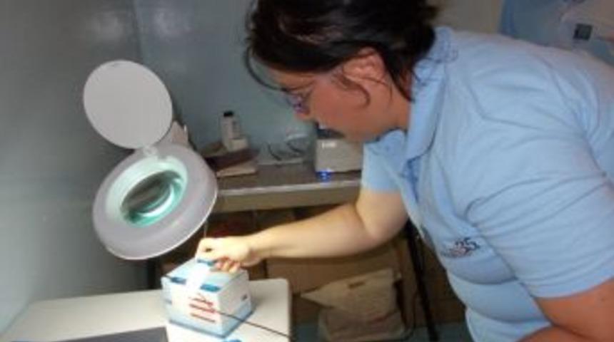 İstanbul&rsquo;daki Bazı Plajlar Tehlike Sa&ccedil;ıyor