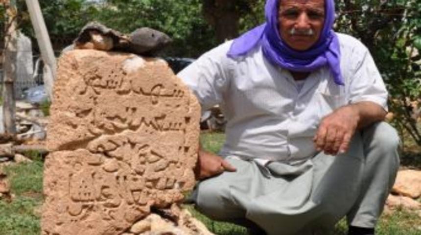 Kişisel M&uuml;zesini Devlete Hibe Etmek İstiyor