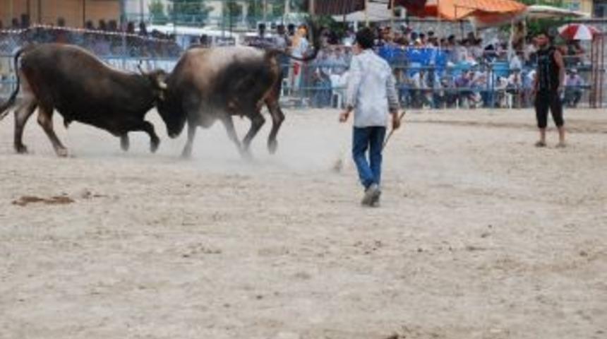 Bayır Festivale Coşacak