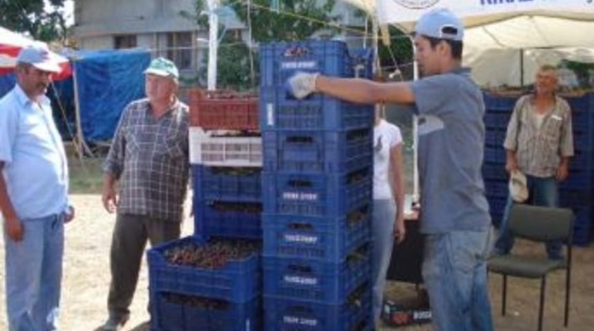 Pazarlar&rsquo;da Vişne Sezonu Sona Erdi