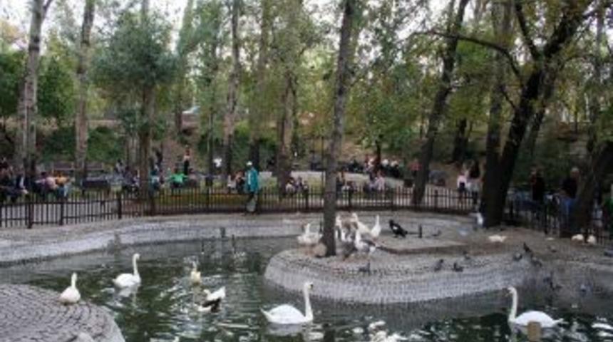 Kuğulu Park, Kurul Kararı Ile Yenilenecek