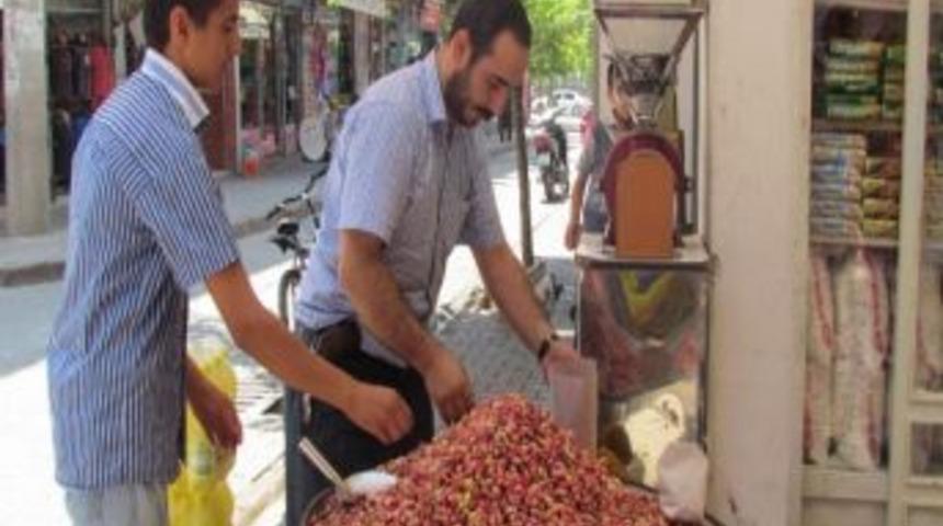 Yerli Fıstık Tezgahtaki Yerini Aldı