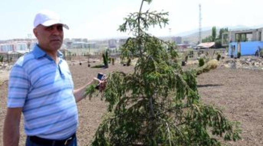 Ali Korkut, Hilalkentpark&rsquo;ı Sıkı Tutuyor