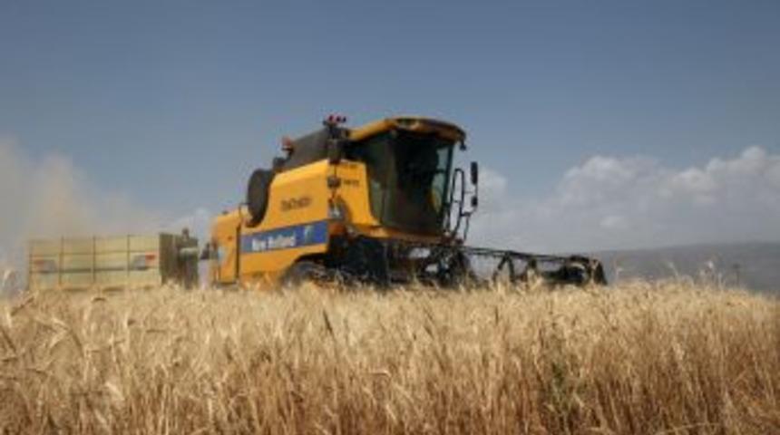 Erzurum'da Buğday Hasadı Başladı