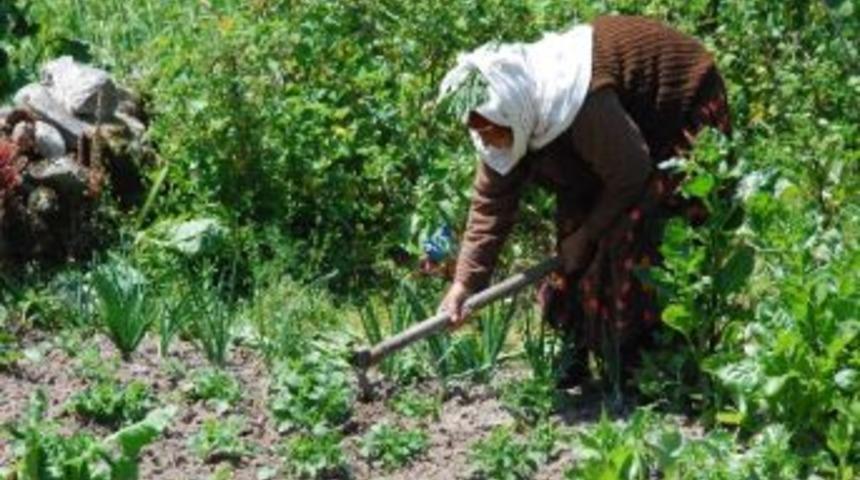 Milas&rsquo;ta Tarıma 4 Milyon Tl&rsquo;lik Destek