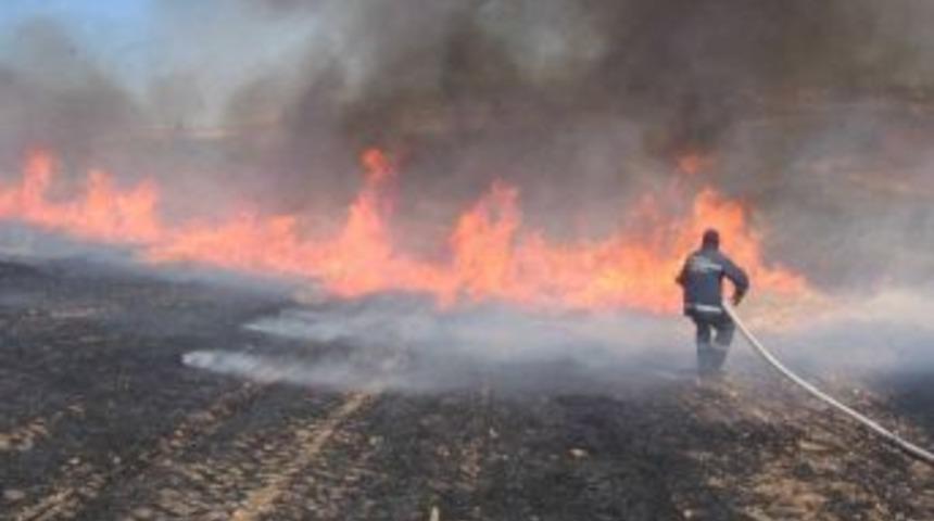 Tarımdan &ldquo;anız Yakmayın&rdquo; Uyarısı