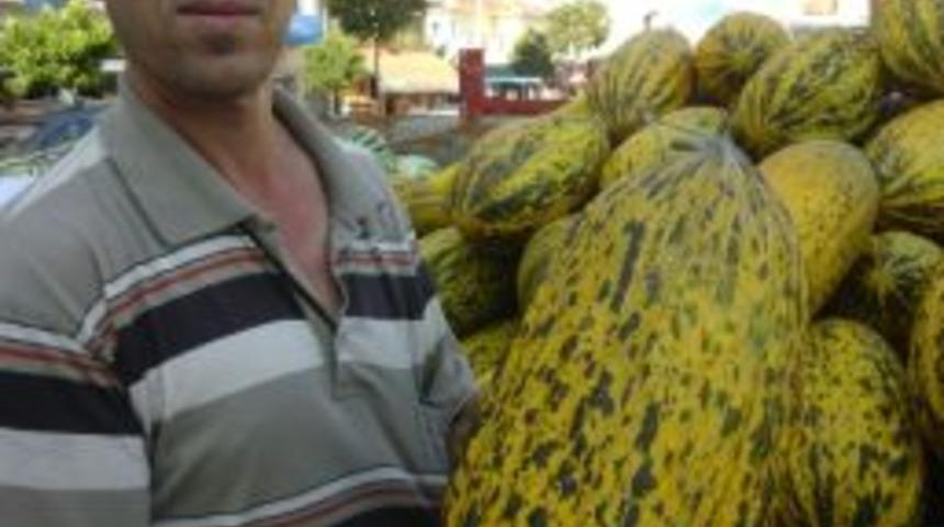 Hayraboluda &Uuml;retici Dev Kavunlar Yetiştirdi