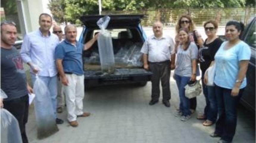 Sakarya&rsquo;da G&ouml;letleri Balıklandırma &Ccedil;alışmaları