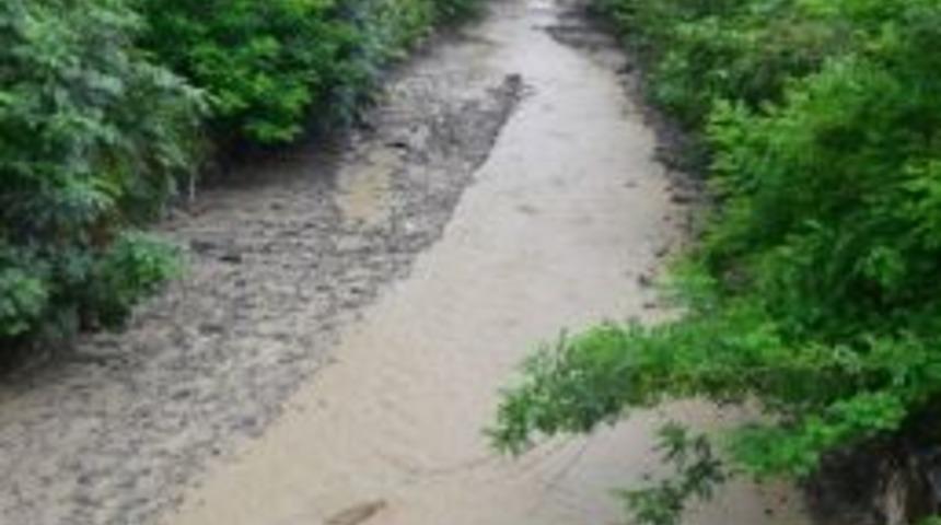 Ayvacık Felaketin Eşiğinden D&ouml;nd&uuml;