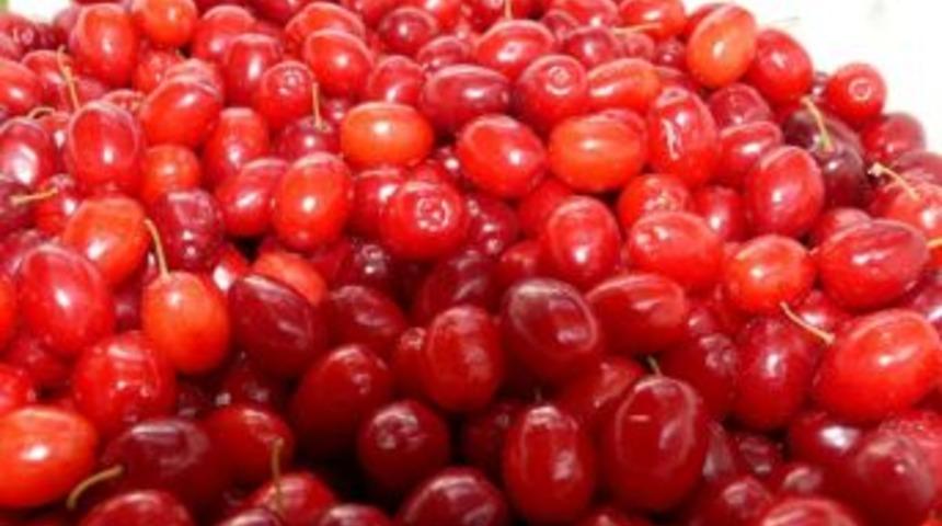 Yöresel Ürünler Büyük İlgi Görüyor