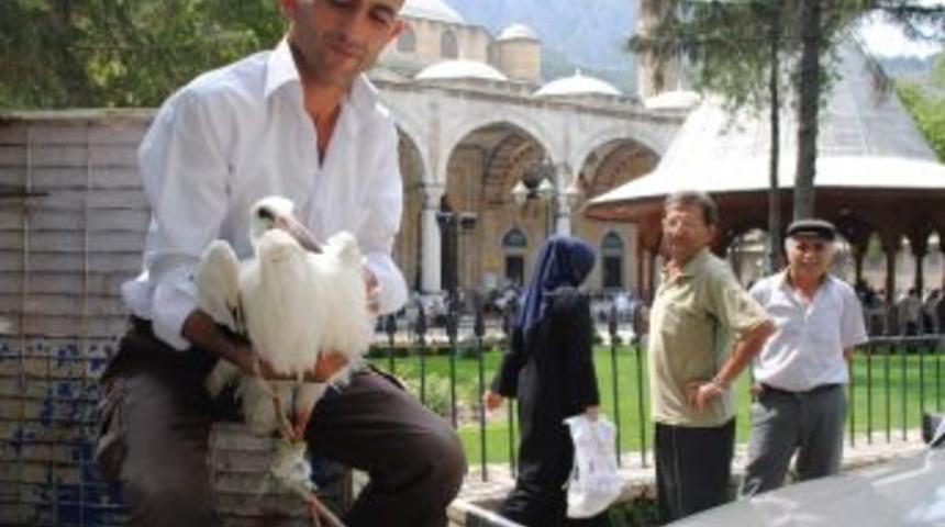 Yaralı Leyleğe Cami Cemaatinden İlk Yardım