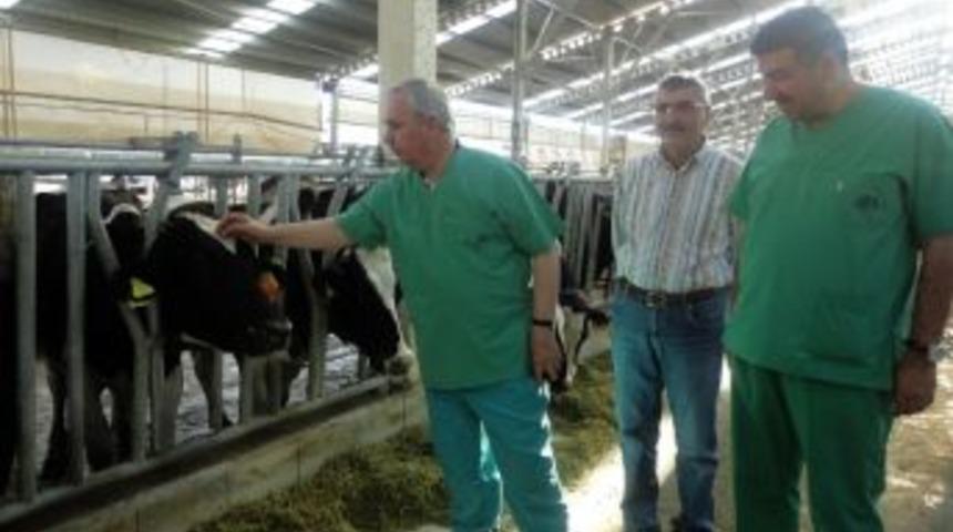 K&ouml;yl&uuml;, Devrekani&rsquo;de İncelemelerde Bulundu