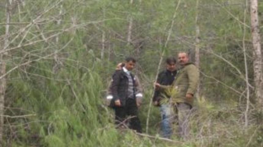 Ormanda Meşcere Bakım &Ccedil;alışmaları Devam Ediyor