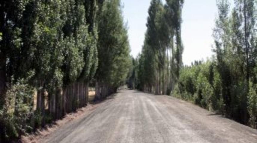 Stabilize Yol &Ccedil;alışmalarında Yeni D&ouml;nem