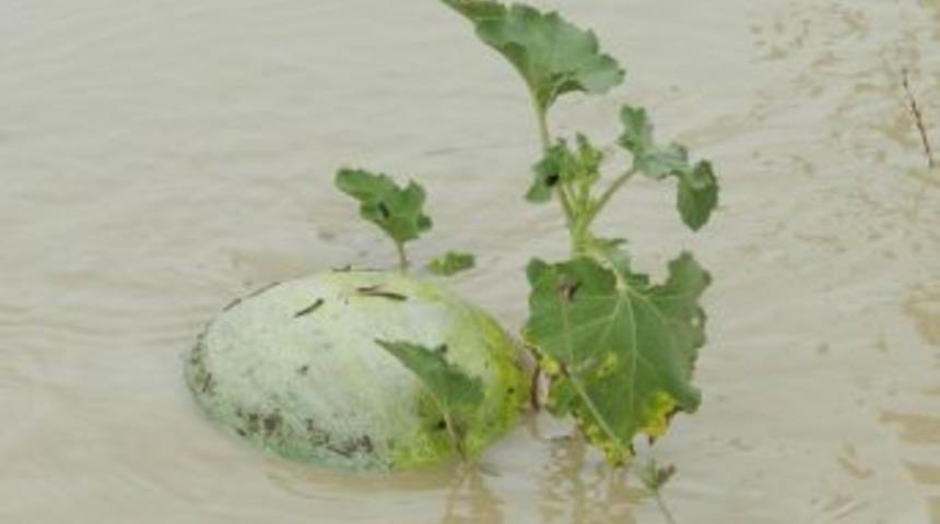 Sel, Bafra Ovası&rsquo;nı Da Vurdu, Ekili Sebze Alanlarındaki Zarar Giderek B&uuml;y&uuml;yor