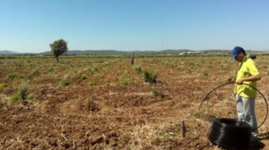 Bireysel Sulama Makine Ve Ekipman Alımı M&uuml;racaatları Başladı