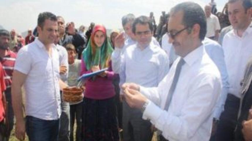 Selim&rsquo;de Sydv&rsquo;nca Vatandaşlara Bin 300 Adet K&uuml;&ccedil;&uuml;kbaş Damızlık Koyun Dağıtıldı