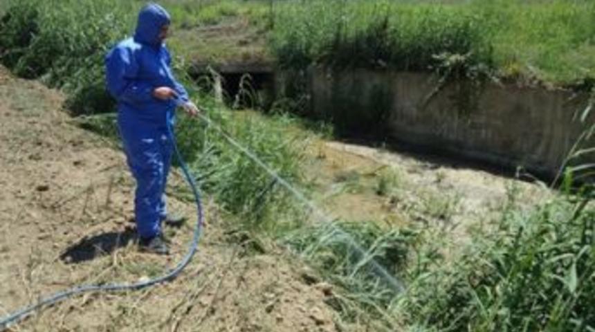 Larva m&uuml;cadelesi devam ediyor