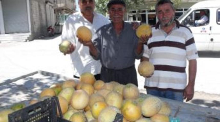 Yavuzeli &Ccedil;ift&ccedil;isinden Organik Tarım Tavsiyesi