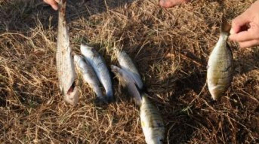 Herekeli Olta Balık&ccedil;ıları Denizden Memnun