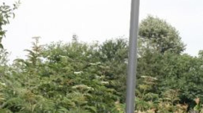 Adı Gibi &Ccedil;ileli