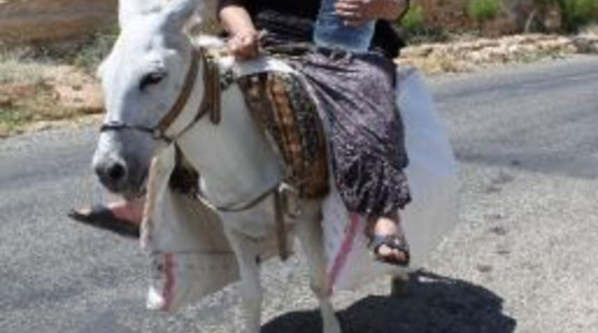 Tatlıcak’ta İçme Suyundaki Kirliliğe Tepki