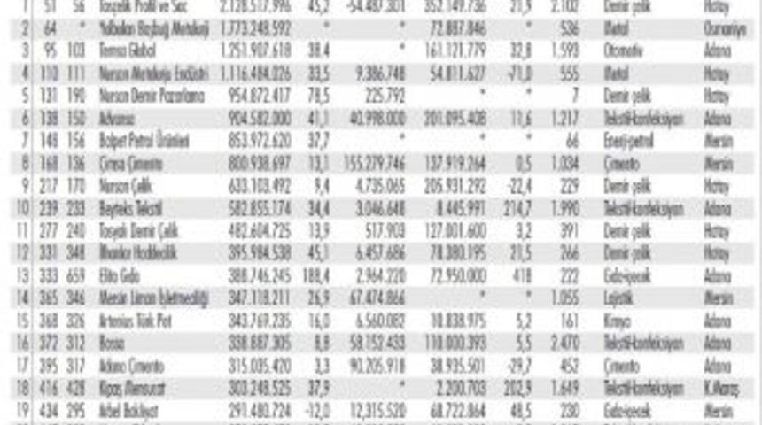 &Ccedil;ukurova&rsquo;daki Şirket Daha Hızlı B&uuml;y&uuml;yor