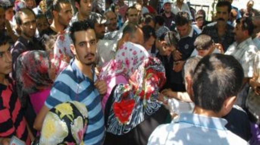 K&ouml;m&uuml;r Dağıtım İzdihamı