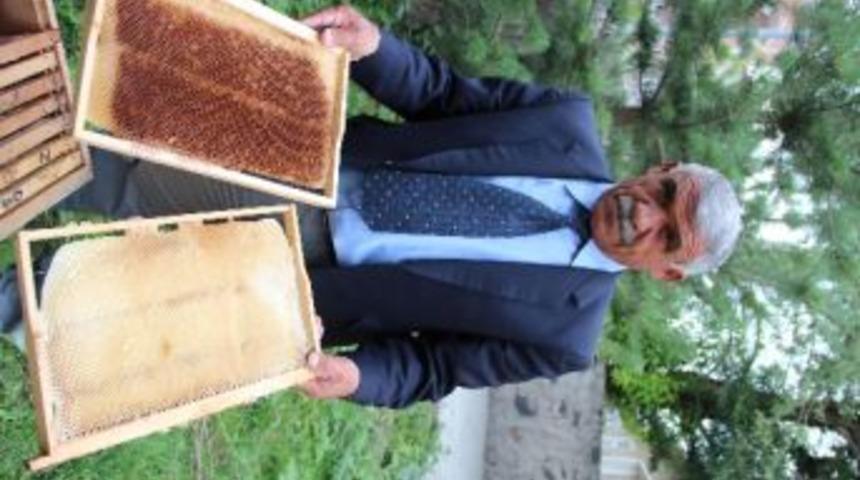 Ardahanlı Arıcılar Perişan,