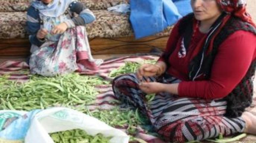 Van&rsquo;da Kış Hazırlığı Başladı