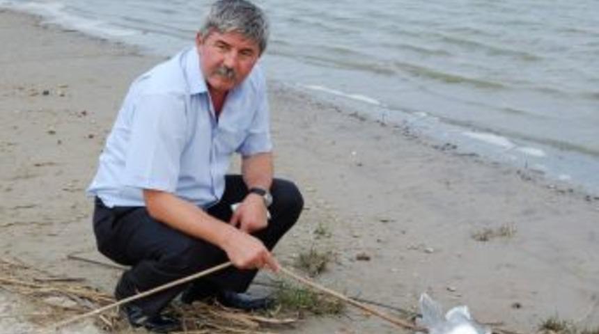 Balıkesir Milletvekili Namık Havut&ccedil;a Manyas G&ouml;l&uuml;'ne Arıtma Tesisi Kurulmasını İstedi