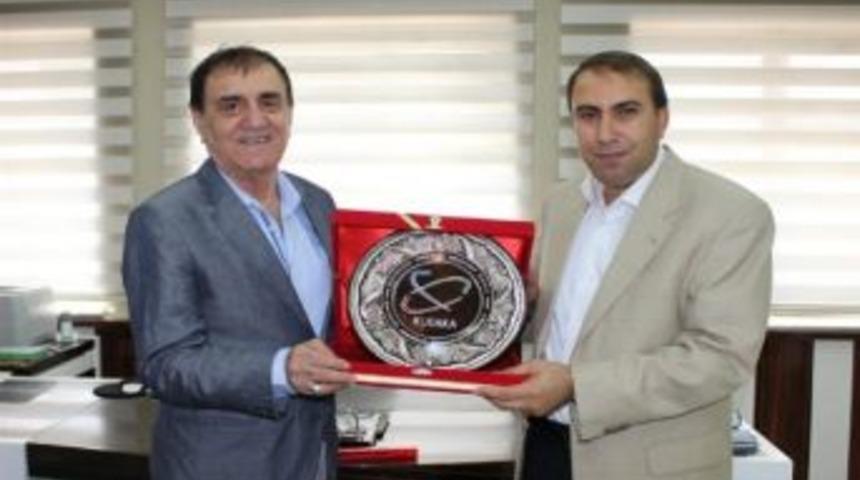 İnovasyona Dayalı B&ouml;lgesel Turizm Stratejisi Ve Eylem Planı