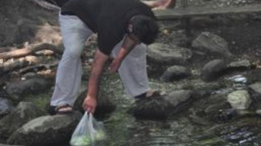 &Ccedil;&ouml;l Sıcaklarına Meydan Okuyan Mekan