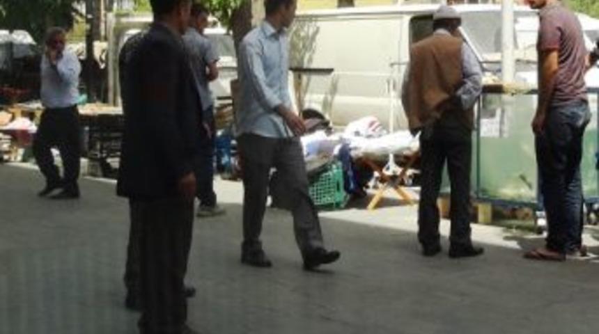 Akvaryumdaki Alabalıklara B&uuml;y&uuml;k İlgi