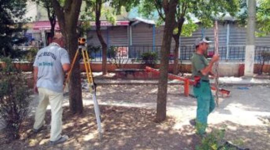 Şeref Meydanında D&uuml;zenleme